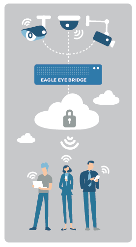 EAGLE EYE BRIDGE